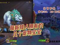魔兽世界猎人稀有宠物全收集指南与捕获攻略