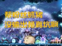 冒险岛骑兽任务全流程攻略与详细步骤解析