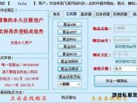 天龙防官私服实战指南稳定畅玩技巧与防封策略全解析