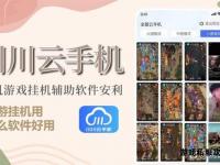 传世私服智能挂机助手全自动稳定运行高效升级必备工具