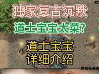 传奇私服道士无极真气巅峰战力全解析