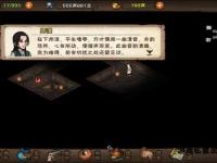 天龙私服秘境全览 江湖奇遇与隐藏地图深度解析