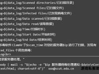 寻觅奇迹私服全攻略：最新服务器定位与稳定连接指南