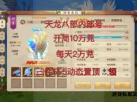 天龙八部私服后台管理与运营优化策略